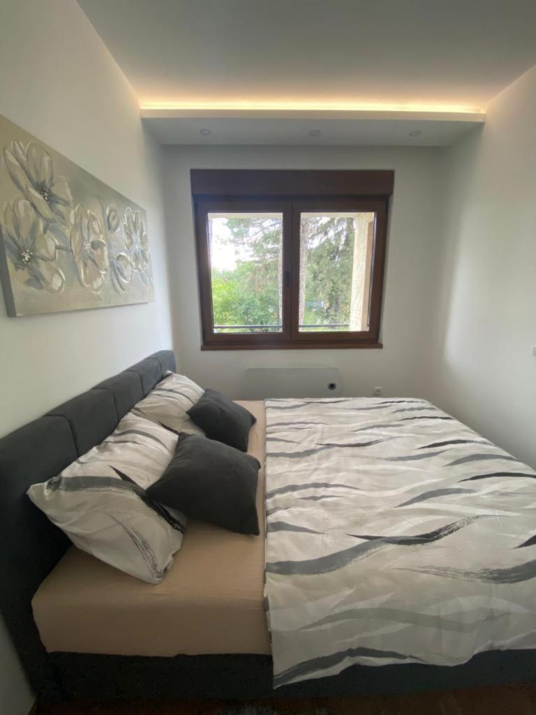 Apartment Casa Anja *